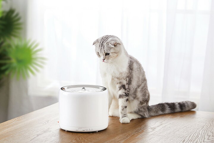 楽天市場】PETKIT ドリンキング・ウォーターファウンテン 3 給水器/ペットキット(DAD)【送料無料】【海外×】【ポイント10倍】【8/17】【 あす楽】 : インテリア雑貨 フラネ flaner 楽天市場】PETKIT ドリンキング・ウォーターファウンテン 3 給水器/ペットキット(DAD)【送料無料】【海外×】【ポイント10倍】【8/17】【 あす楽】 : インテリア雑貨 フラネ flaner