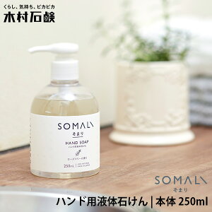 ؑΌ SOMALI nhpt̐΂ { 250mL 40723bނ点 { ܂  nh\[v t Lbh |v ʑ Lb` 䏊 ɗD q KyCO×z