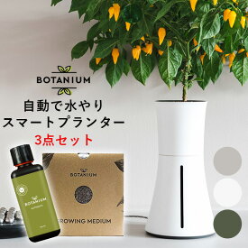 楽天市場 ハイドロカルチャー ハーブの通販 楽天市場 ハイドロカルチャー ハーブの通販