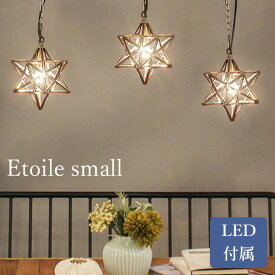 【予約】DI CLASSE LED球タイプ LED Etoile small pendant lamp エトワール スモール ペンダントランプ/ディクラッセ【送料無料】【ポイント12倍】【5/21】【ASU】