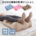 【300円OFFクーポン】のびのび腰痛対策 脚クッション コジット 健康器具 脚枕 腰痛 クッション 寝る 腰痛対策 心地良い睡眠 足クッション 快眠グッズ 脚 クッション 就寝 寝る時 むくみ 腰 隙間 負担軽減 解消 改善 足 脚 まくら【送料無料】【ポイント2倍】【7/29】