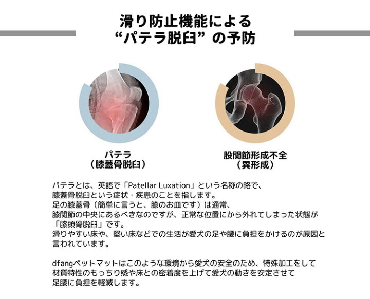 楽天市場】dfang ディパン 折りたためるペット専用防水クッションマット 廊下敷 120×70cm 5mm厚/70幅シリーズ(LGS)【送料無料】【ポイント2倍】【8/18】【あす楽】 : インテリア雑貨 フラネ flaner 楽天市場】dfang ディパン 折りたためるペット専用防水クッションマット 廊下敷 120×70cm 5mm厚/70幅シリーズ(LGS)【送料無料】【ポイント2倍】【8/18】【あす楽】 : インテリア雑貨 フラネ flaner