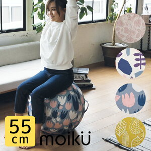 CN oX {[ 55cm moiku Balance Ball O[oA[yzy|Cg11{zyp1209z