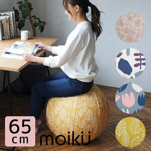 CN oX {[ 65cm moiku Balance Ball O[oA[yzy|Cg11{zyp1209z