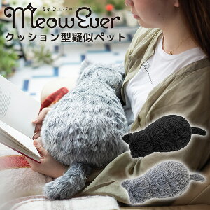 MeowEver ~EGo[ lR^NbV NbV^^ybg bLNbV L^NbV 킢  ^{bg dqybg Aj}{bg A L ʂ  v