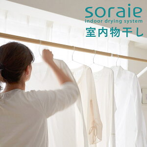 y|Cg16{zsoraie \CG  SEMELTCYyzy[J[zyszyCO×zyp1031z