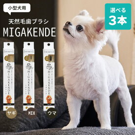 選べる3本セット 犬用 天然毛歯ブラシ MIGAKENDE ミガケンデ 小型犬用 ヤギ植毛 ウマ植毛（CHAO）【メール便送料無料】【ポイント3倍】【4/8】【s6】