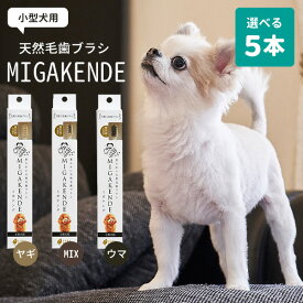 選べる5本セット 犬用 天然毛歯ブラシ MIGAKENDE ミガケンデ 小型犬用 ヤギ植毛 ウマ植毛（CHAO）【メール便送料無料】【ポイント10倍】【4/8】