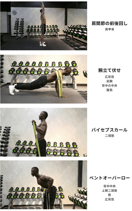 楽天市場】VRTX フィットネスバンド XーHEAVY（抵抗力64〜91kg） 耐 