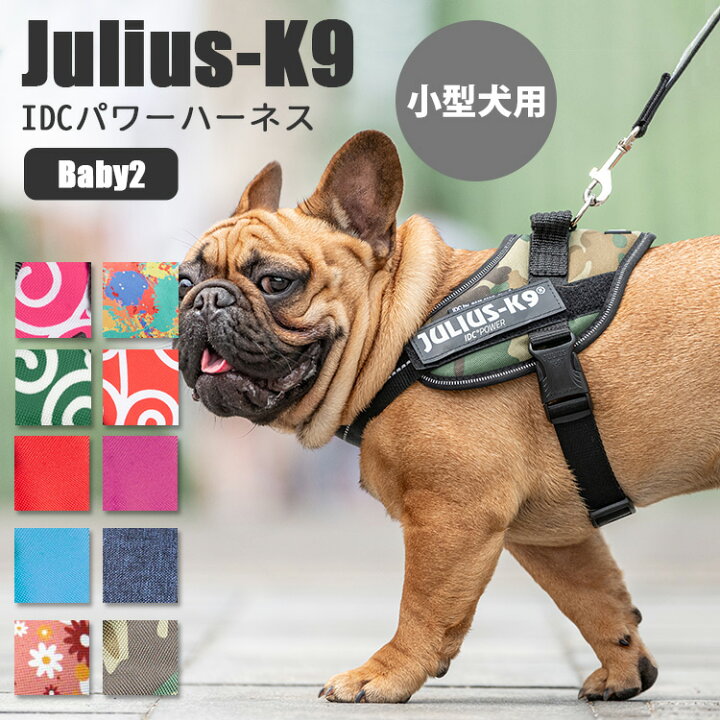 Jaarlijks Regan Vermoorden 楽天市場】Julius−K9 ユリウスケーナイン IDCパワーハーネス Baby2（2XS／小型犬用） IDC Power  Harness（AMNT）【メール便送料無料】【ポイント2倍】【8／22】 : インテリア雑貨 フラネ flaner