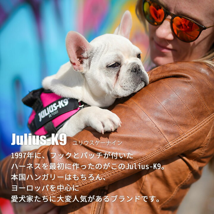 楽天市場】Julius−K9 ユリウスケーナイン IDCパワーハーネス MINIMINI・MINI(XS・S/小・中型犬用) IDC Power Harness(AMNT)【送料無料】【ポイント2倍】【10/26】【あす楽】 : インテリア雑貨 フラネ flaner 楽天市場】Julius−K9 ユリウスケーナイン IDCパワーハーネス MINIMINI・MINI(XS・S/小・中型犬用) IDC Power Harness(AMNT)【送料無料】【ポイント2倍】【10/26】【あす楽】 : インテリア雑貨 フラネ flaner