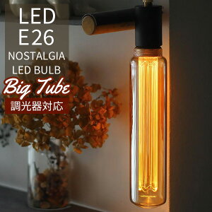 Ή NOSTALGIA mX^WA BIG TUBE GW\ouLED E26 rbO `[u LED Bulby|Cg10{zyp1212z