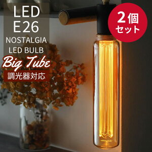 2Zbg Ή NOSTALGIA mX^WA BIG TUBE GW\ouLED E26 rbO `[u LED Bulbyzy|Cg3{zyp1212z