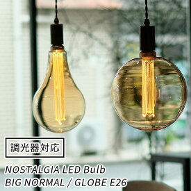 調光器対応 NOSTALGIA ノスタルジア BIG NORMAL GLOBE エジソンバルブLED E26 ビッグ ノーマル グローブ LED Bulb（WVT）【送料無料】【ポイント10倍】【6/13】【ASU】