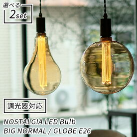 選べる2個セット 調光器対応 NOSTALGIA ノスタルジア BIG NORMAL GLOBE エジソンバルブLED E26 ビッグ ノーマル グローブ LED Bulb（WVT）【送料無料】【ポイント3倍】【6/13】