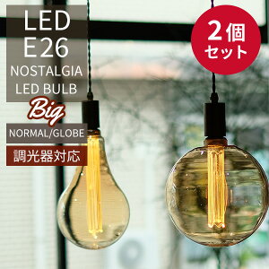 y500~OFFN[|IZbgzIׂ2Zbg Ή NOSTALGIA mX^WA BIG NORMAL GLOBE GW\ouLED E26 rbO m[} O[u LED Bulbyzy|Cg10{zyp1212z