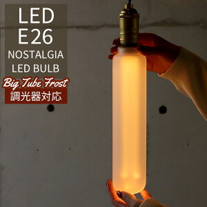 Ή NOSTALGIA mX^WA tXg BIG TUBE GW\ouLED E26 FROST rbO `[u LED Bulby|Cg10{zyp1212z