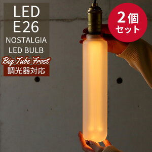 2Zbg Ή NOSTALGIA mX^WA tXg BIG TUBE GW\ouLED E26 FROST rbO `[u LED Bulby|Cg3{zyp1212z