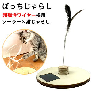 ڂ炵 L炵 eC[gp  drsv R[hXyz