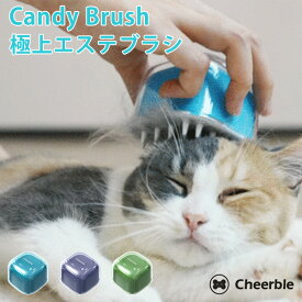 Candy Brush キャンディブラシ 猫用 ペットブラシ グルーミングブラシ Cheerble（MKRN）【送料無料】【ASU】