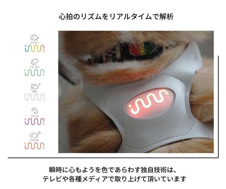 大阪府  サイズ1 inupathy 犬用品