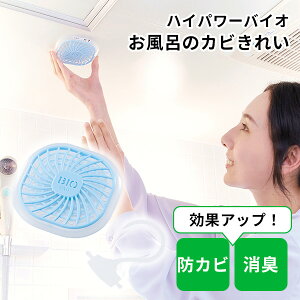 nCp[oCI C̃Jrꂢ ݂艺tbNt hJr L RWbgy[։z