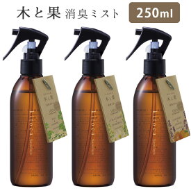 木と果 消臭ミスト 250ml KITOCA 消臭・芳香剤 室内用/ニシカワ【海外×】【ASU】