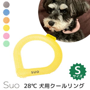 XI p 28 NEW N[OSiSuo   Ђ MǑ΍ AEghA STCY hbO ybgpjy[֑z