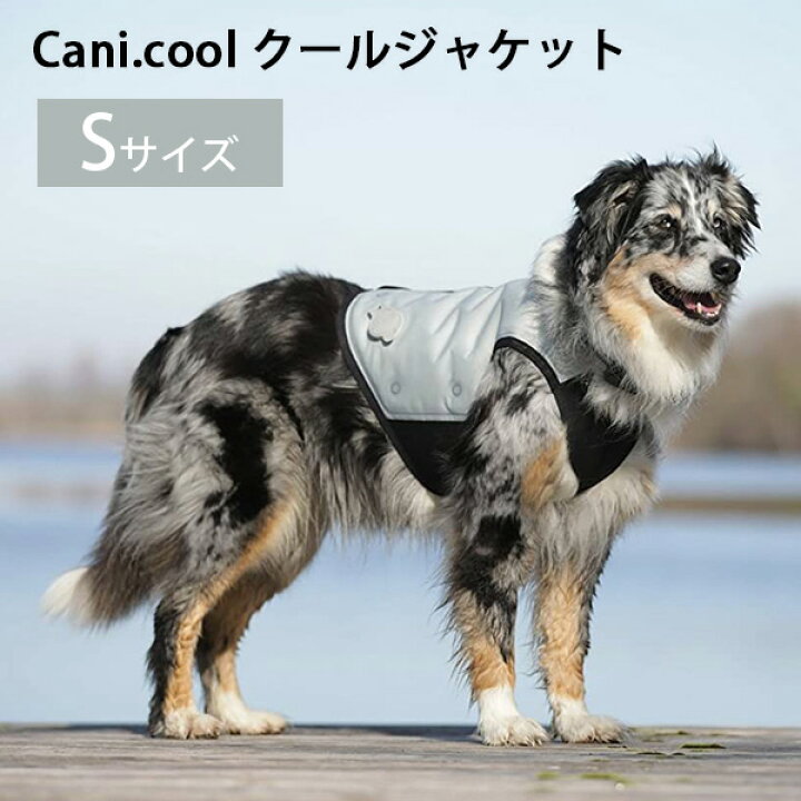 楽天市場】CANI COOL カニクール クールジャケット Sサイズ グレイ 