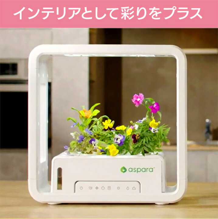 楽天市場】アスパラガーデン LITE スターターキット 水耕栽培 自動水  