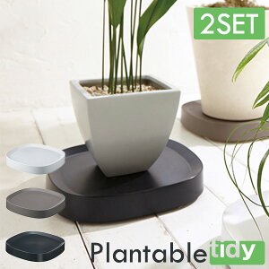 Iׂ2Zbg tidy Plantable v^u LX^[tg[yzy|Cg10{zyp1209z