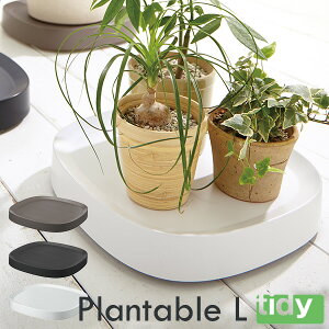 tidy Plantable L v^u G LX^[tg[yzy|Cg11{zy9/17z