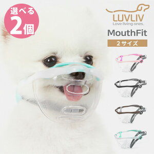 Iׂ2Zbg 񂿂p}Y MouthFit }EXtBbg p  h~ ݕȁyzy|Cg10{zy10/2z