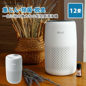 yTtzLevoitC@ Core Mini WH Grayi`12j~jTCY A}Ή ^ ԕ ECX΍ A} C EL  Wo Q RpNg ԕ ΂ ^oR ybg nEX_