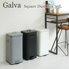 Galva（ガルバ）スクエアダストボックス 30L｜Square Dust Box ゴミ箱 ふた付 ペダル式 丸洗い 清潔 大容量 リビング キッチン 台所 ゴミ捨て おしゃれ かわいい 新生活 【送料無料】