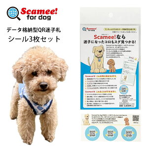 ybg qD V[3Zbg XL~[tH[hbO ScameeIfor dog f[^i[^QR  L hbO^O X}[g^O iPhone Android X}z  X}z uY qǂ ǐ X}[gtH 