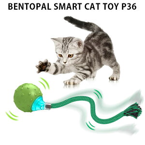 BENTOPAL SMART CAT TOY P36 dLp xgp L d ^s XgXU ЂƂV ybgߋ L炵  Mtg v[g y|Cg3{zy9/19