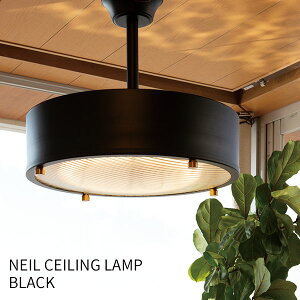 nT NEIL CEILING LAMP j[ V[Ov CM-009 LEDV[OCg \ Ɩ dt C_XgA \ g AeB[N/HermosayzyCO×zy