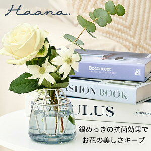 n[i EH[^[L[vx[X Haana Water Keep Vase HAS1850 ԕr  KX R ֑} t[x[X Oyzy|Cg10{zy9/18zyCO×z