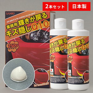 2Zbg Ɩp P߂ LYB Q10 250g×2 C荞ŖI SANKIyzyCO×zy|Cg10{zyp1029z