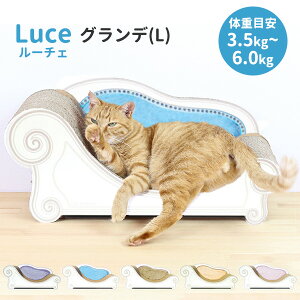 y6/20uǂԂvozJJ[i [`F sOf^Lt Caricarina Luce b lRp Lp ˂p ܂Ƃxbh L Lbg ܂Ƃ ܌ i{[ _{[ KK 