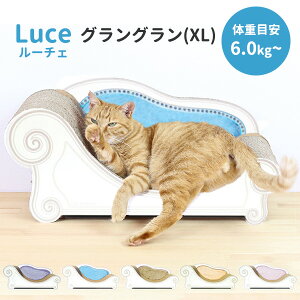 y6/20uǂԂvozJJ[i [`F sOO^XLt Caricarina Luce b lRp Lp ˂p ܂Ƃxbh L Lbg ܂Ƃ ܌ i{[ _{[ KK 