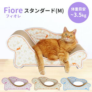 y6/20uǂԂvozJJ[i tBI sX^_[h^Mt Caricarina Fiore b lRp Lp ˂p ܂Ƃxbh L Lbg ܂Ƃ ܌ i{[ _{[ KK 