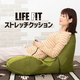 LIFEFIT ストレッチクッション Fit019 ライフフィット クッション ビーズクッション 変形 背中 腰 体圧分散 発泡ビーズ 気持ちいい フィット【送料無料】【代引き不可】【海外×】【ポイント10倍/メーカー直送】【p1222】