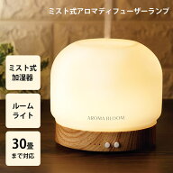 AB ミスト式アロマディフューザーランプ　95073 AROMA BLOOM 加湿器 ルームライト ミスト式加湿器 〜30畳…