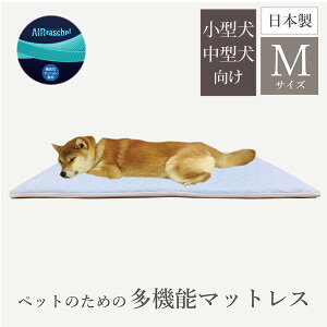 yubNtCf[400~N[|zt@CGA[hybg}bgX MTCY }bg }bgX ybgp { ̈U ybg ~pbg ^ ^ @\}bgX 