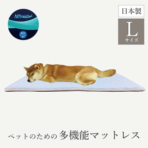 y1110500~N[|zt@CGA[hybg}bgX LTCY }bg }bgX ybgp { ̈U ybg ~pbg ^ @\}bgX  NbV 