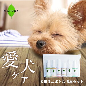 WAFONA p ~j{g6{Zbg |[`t  pi SgPA jIC  ܂₯ ڃj  悾 ϐF tP y  ێ | I[PA   Vv[ }i[ U