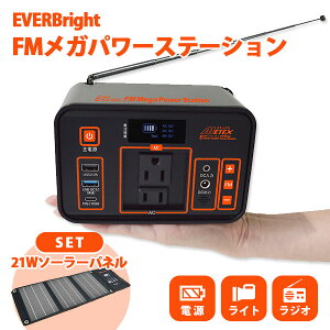 y3000~OFFN[|zi\[[plZbgjEVERPower-Bright FMKp[Xe[V{EVERBright 21W\[[plbMETEX ebNX eʃ|[^ud Gop[uCg Go[uC