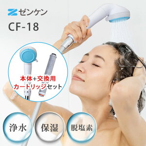 �y�|�C���g10�{�z2�_�Z�b�g �{�́{��p�J�[�g���b�W �s���A�X�g���[���E�~�X�g CF-18 �}�C�N���i�m�o�u���򐅃V�����[ �����p�J�[�g���b�W�t �V�����[�w�b�h �[���P���y���������z�y�����